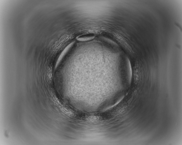 X0000100400593200806201738