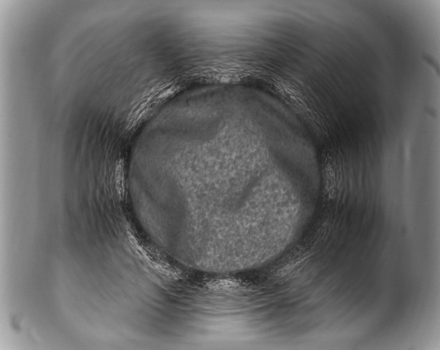 X0000100400594200806201738