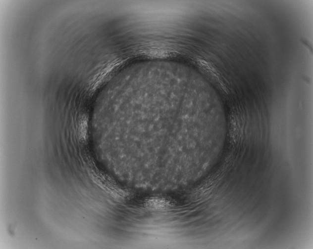 X0000100400596200806201738