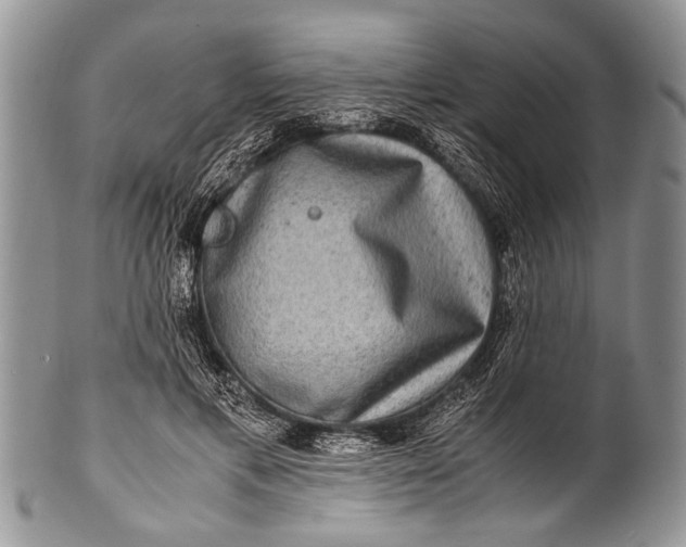 X0000100400597200806201738
