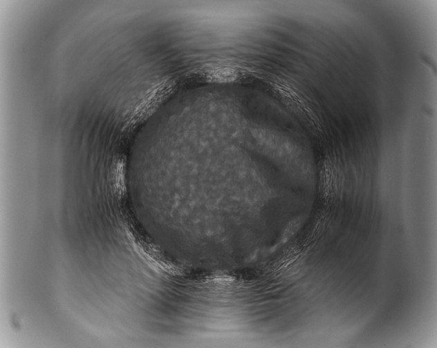 X0000100400598200806201738