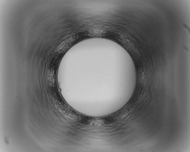 X0000100400599200806201738