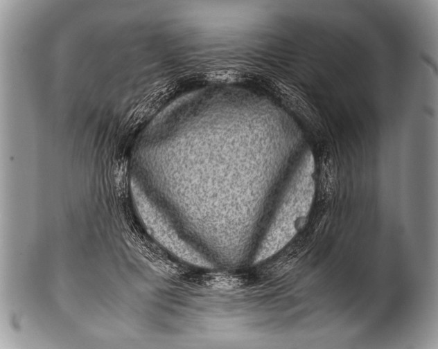 X0000100400601200806201738