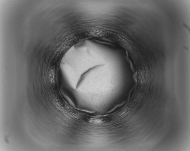 X0000100400602200806201738