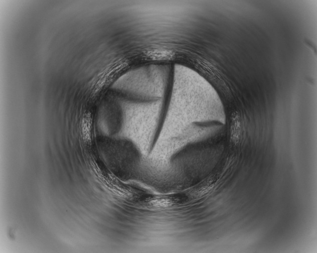 X0000100400604200806201738