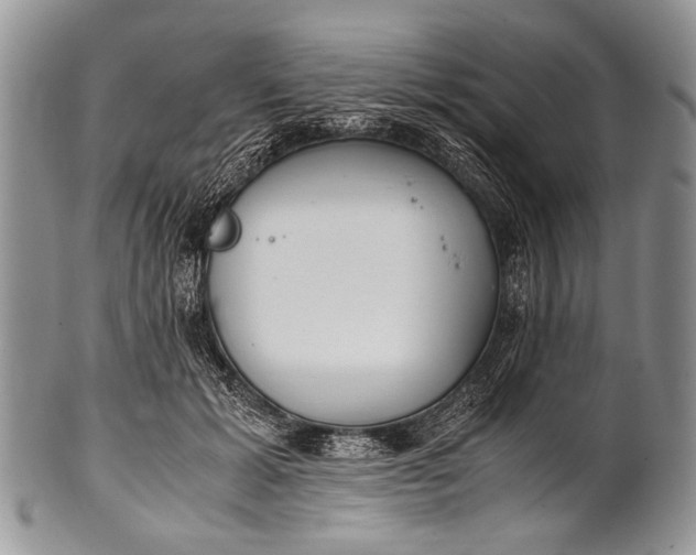 X0000100400605200806201738