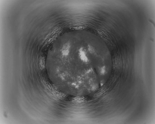 X0000100400606200806201738