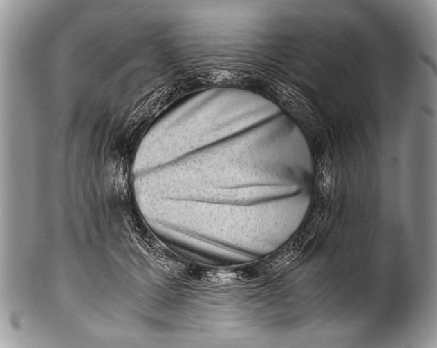 X0000100400607200806201738