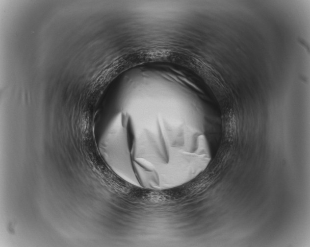 X0000100400608200806201738