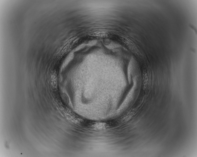X0000100400609200806201738