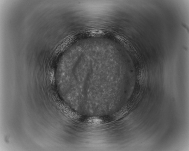 X0000100400610200806201738