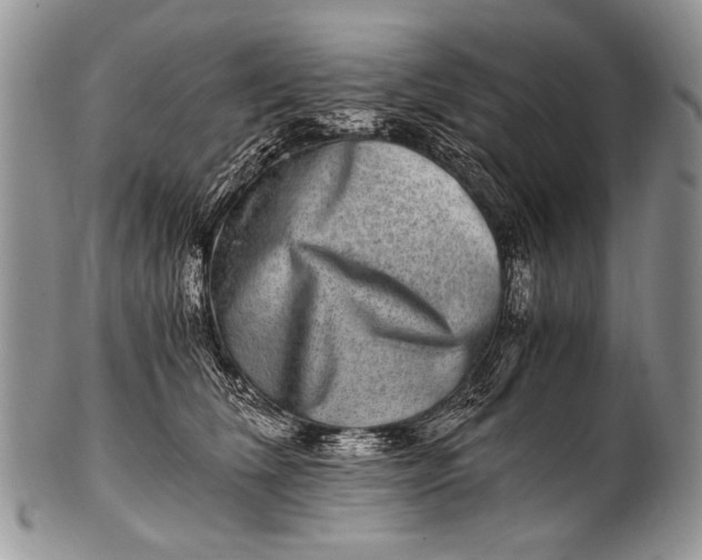X0000100400612200806201738
