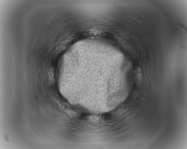 X0000100400615200806201738