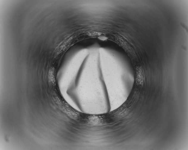 X0000100400616200806201737