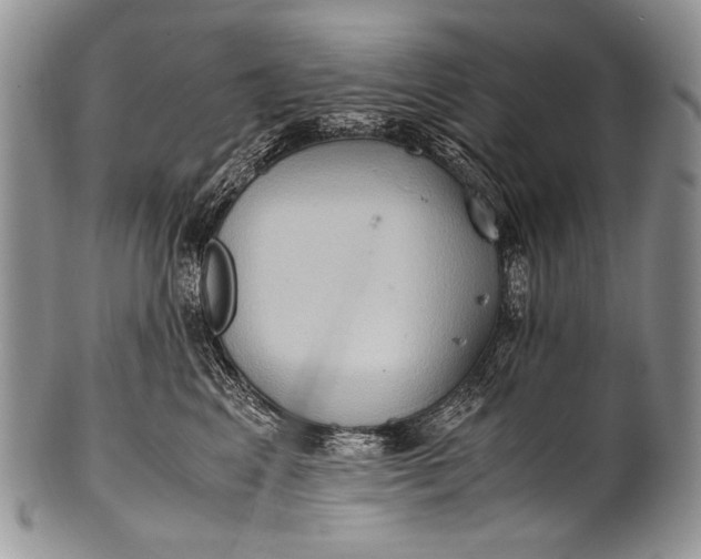 X0000100400617200806201737