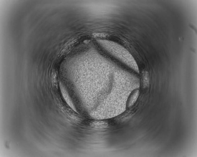 X0000100400619200806201737