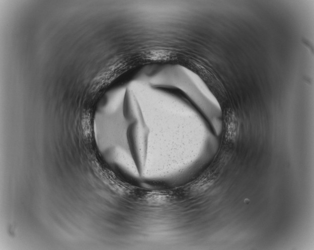 X0000100400620200806201737