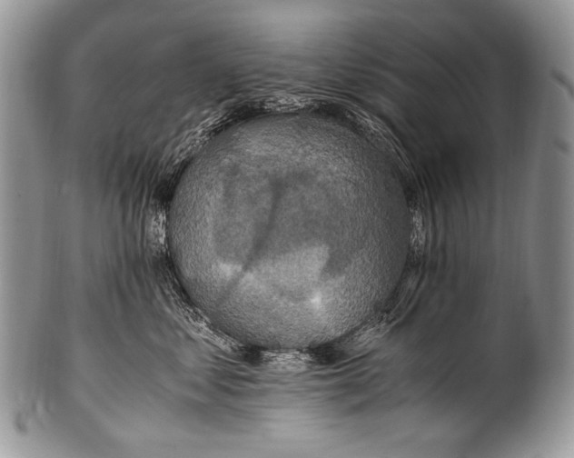 X0000100400621200806201737
