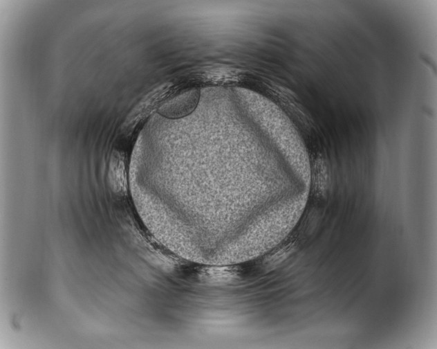 X0000100400622200806201737