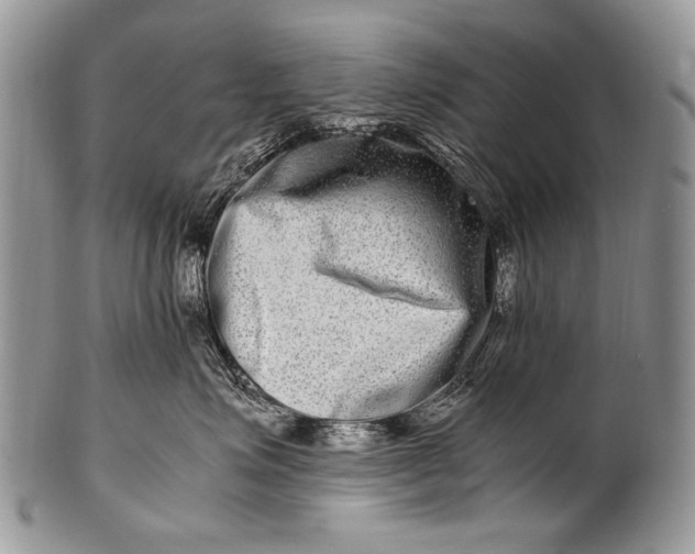 X0000100400623200806201737