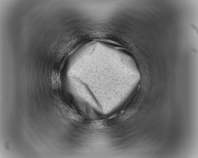 X0000100400624200806201737