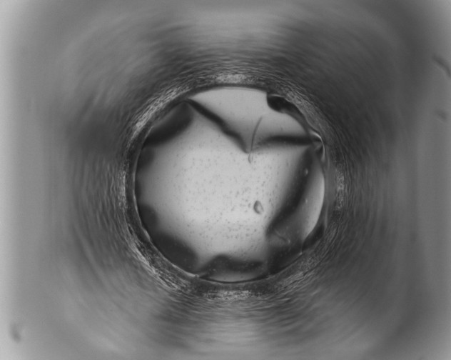 X0000100400626200806201737