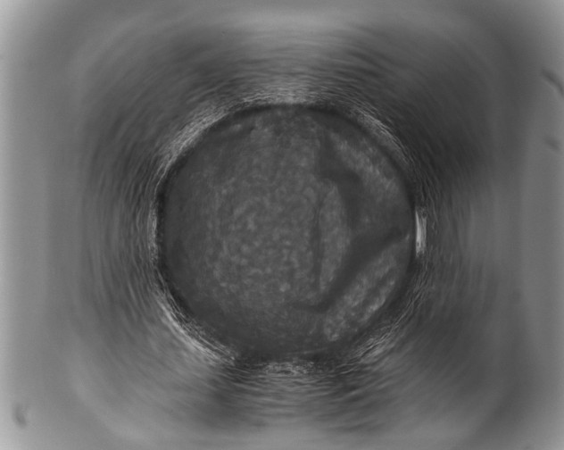 X0000100400627200806201737