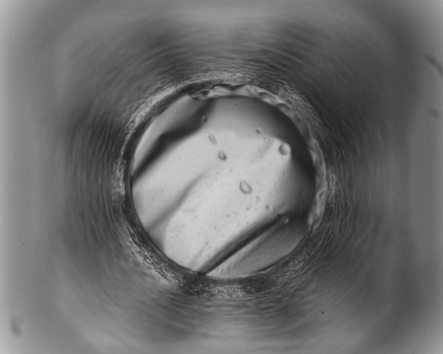 X0000100400628200806201737