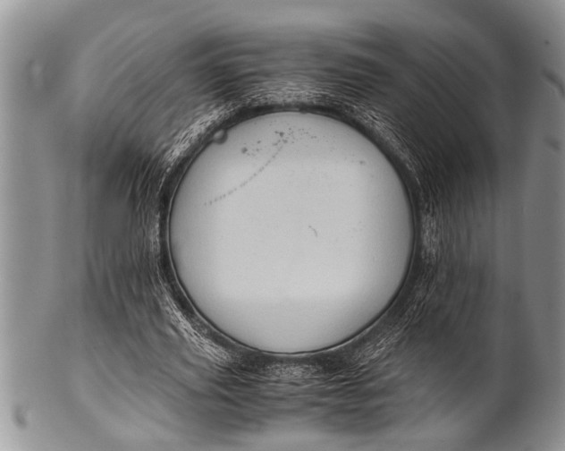 X0000100400629200806201737