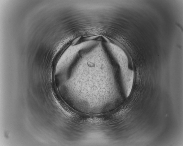 X0000100400630200806201737