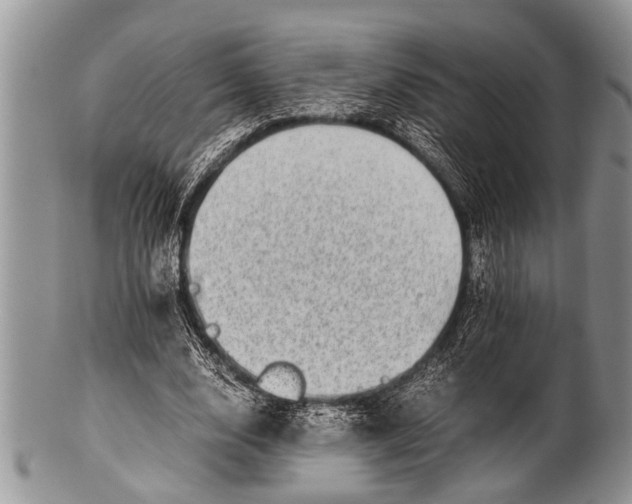 X0000100400632200806201737