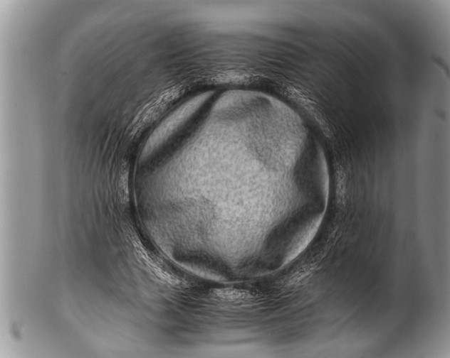 X0000100400633200806201737