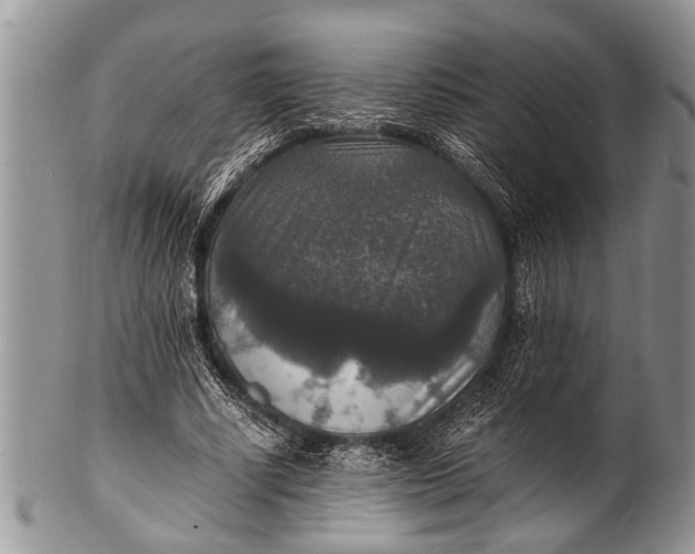 X0000100400634200806201737