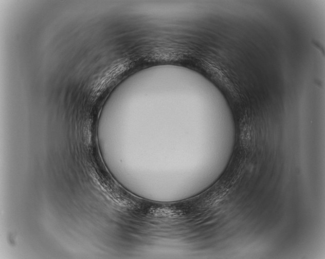 X0000100400635200806201737