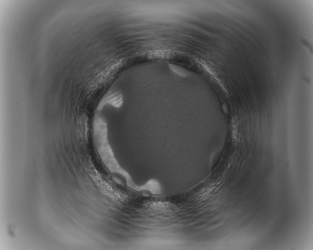 X0000100400637200806201737