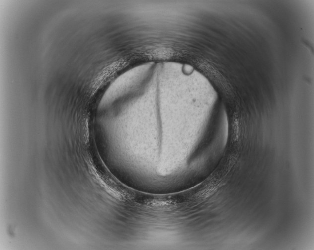 X0000100400638200806201737