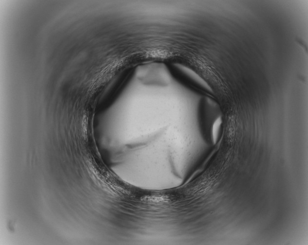 X0000100400639200806201737