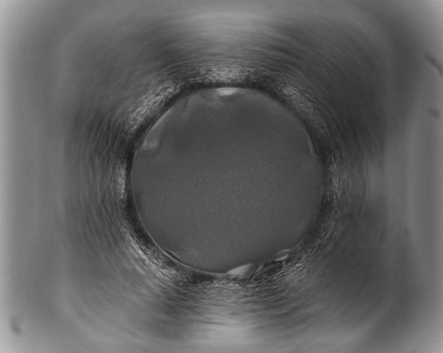 X0000100400640200806201737