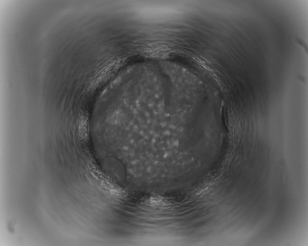 X0000100400641200806201737
