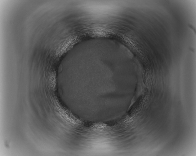 X0000100400642200806201737