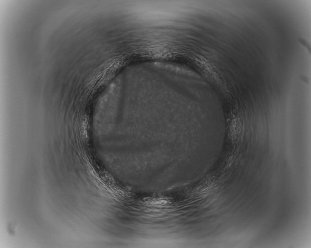 X0000100400643200806201737