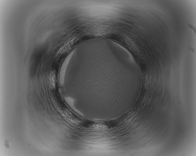 X0000100400644200806201737