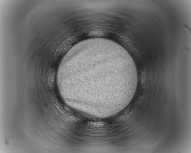 X0000100400645200806201737