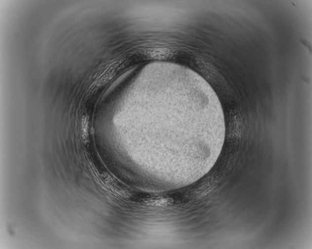 X0000100400646200806201737