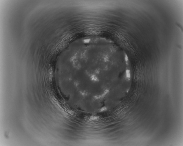 X0000100400647200806201737