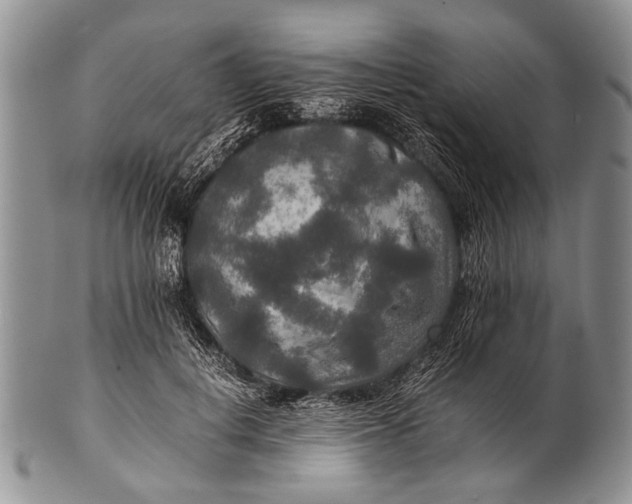 X0000100400648200806201737