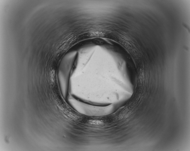 X0000100400649200806201737