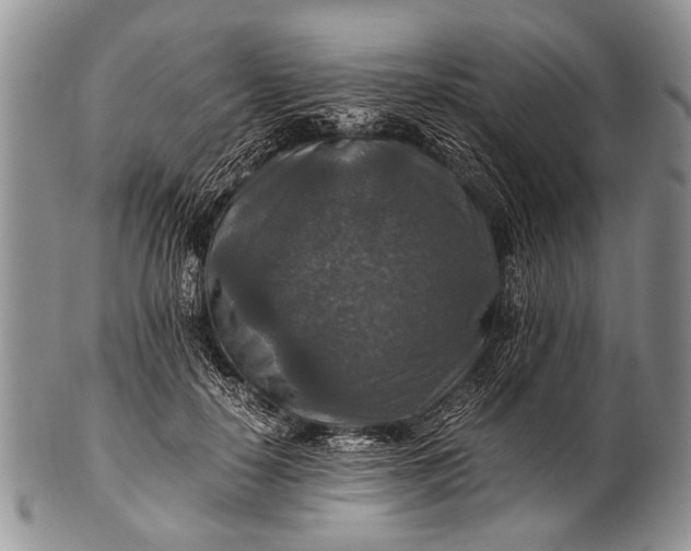 X0000100400650200806201737