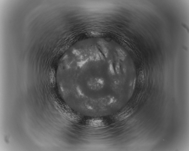 X0000100400651200806201737