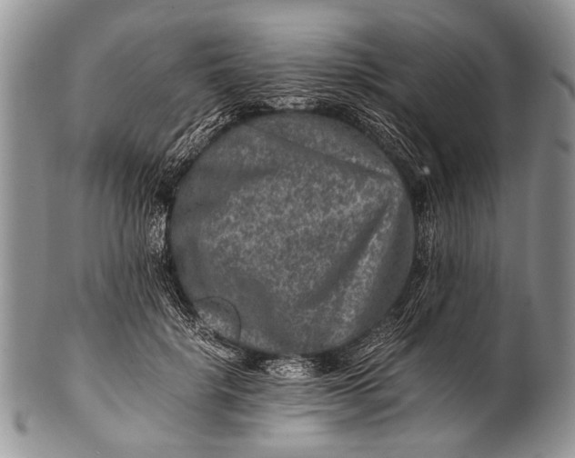 X0000100400652200806201737